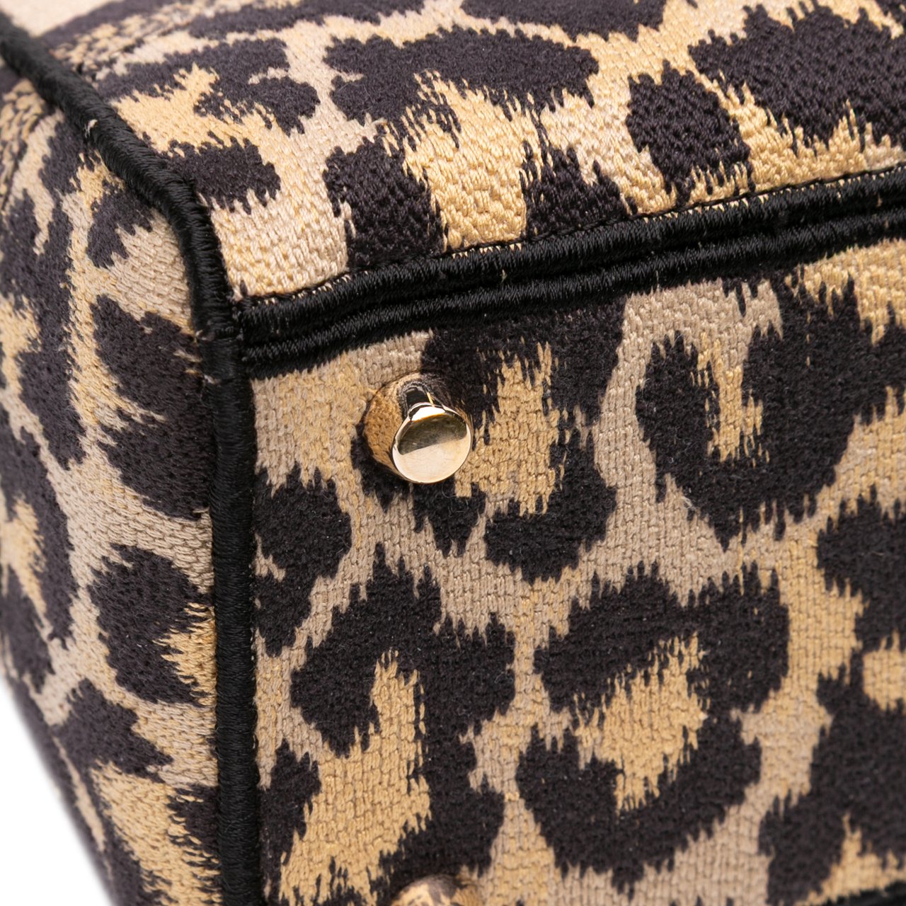 Dior Mizza Medium Leopard Embroidered Canvas Lady D Lite Bruin