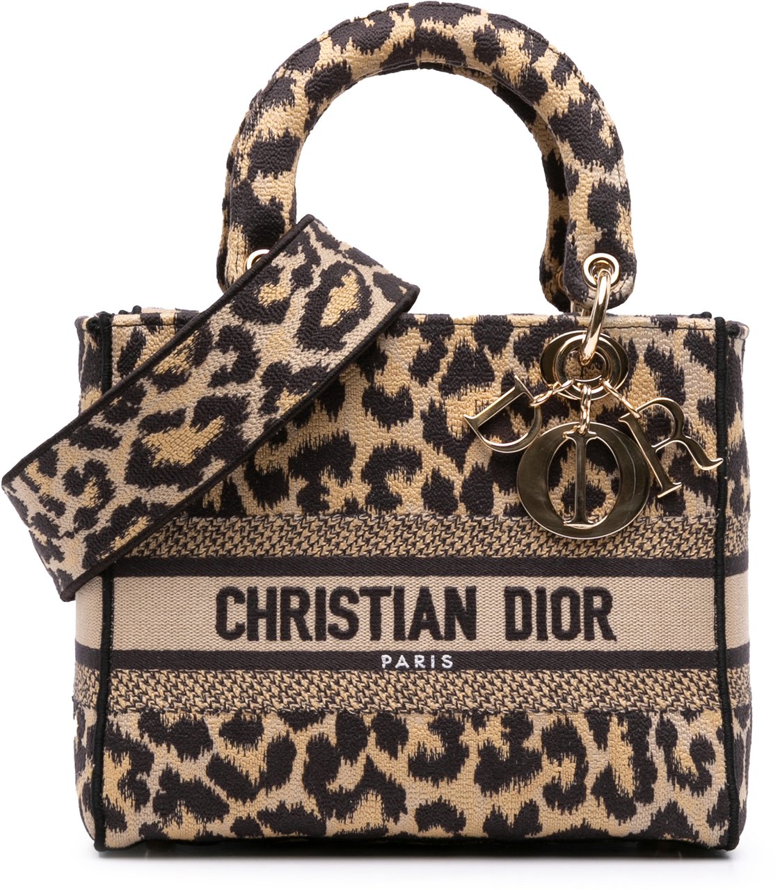 Dior Mizza Medium Leopard Embroidered Canvas Lady D Lite Bruin