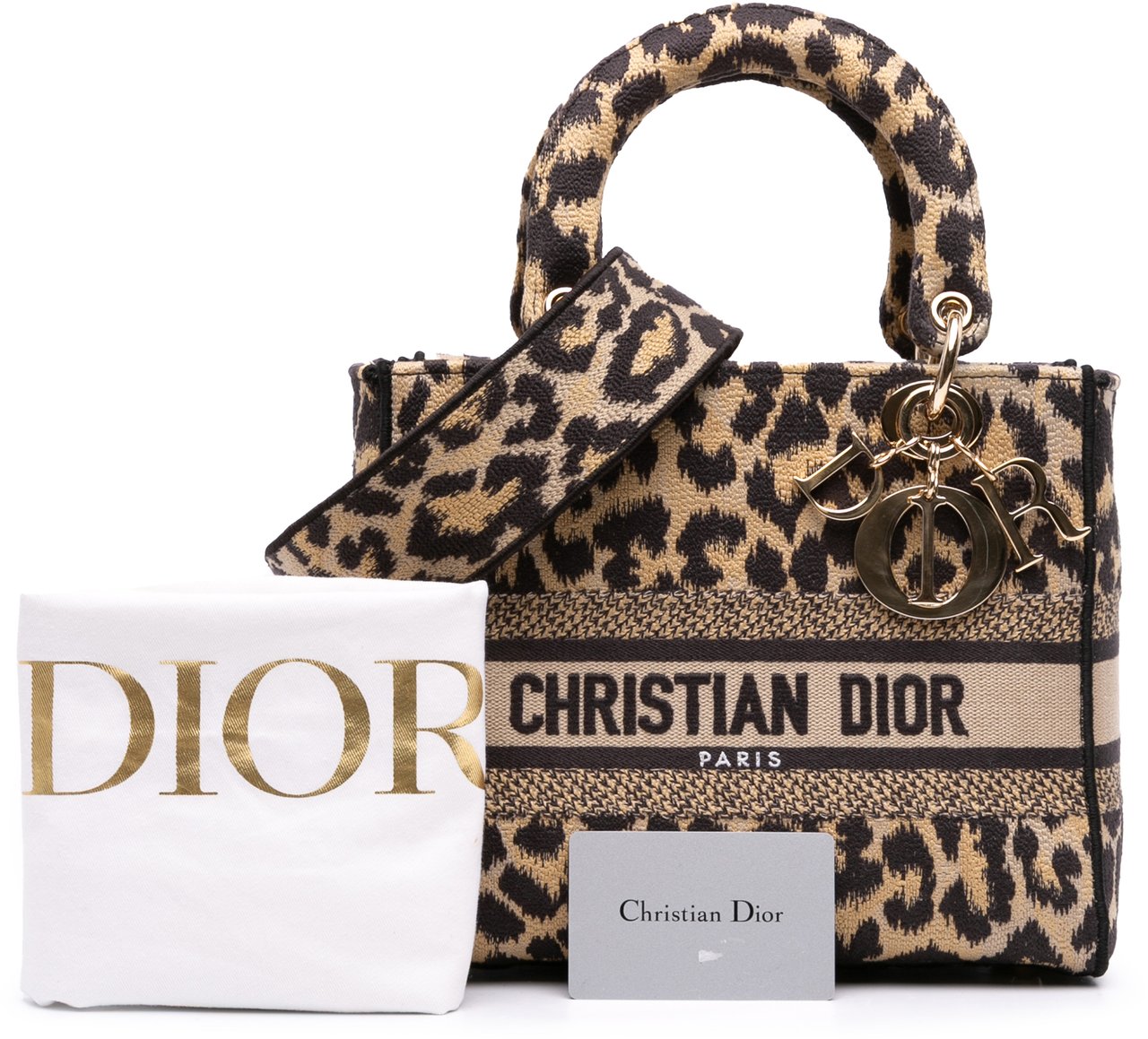 Dior Mizza Medium Leopard Embroidered Canvas Lady D Lite Bruin