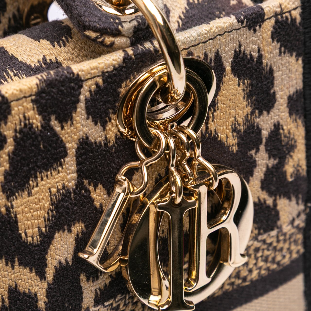 Dior Mizza Medium Leopard Embroidered Canvas Lady D Lite Bruin