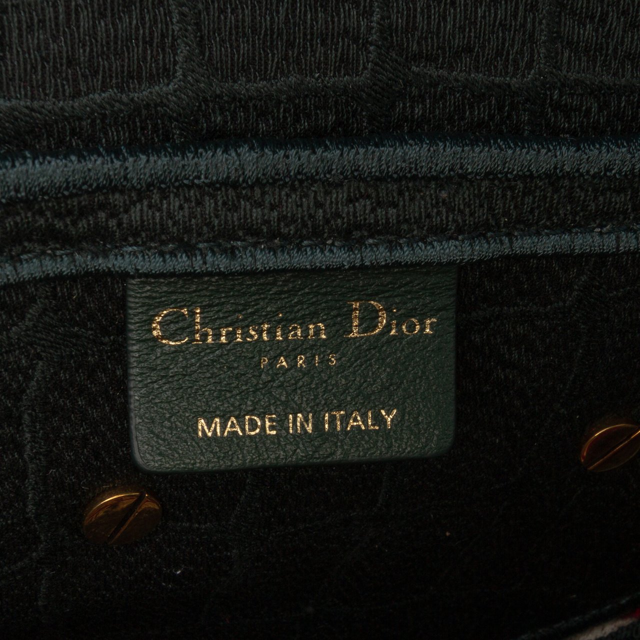 Dior Velvet Embroidered Crocodile Effect Saddle Bag Groen