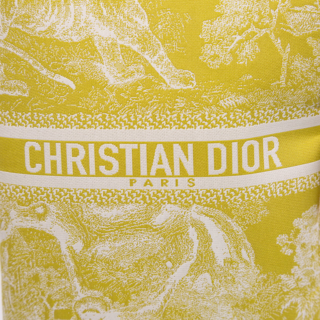 Dior Technical Fabric Embroidered Toile De Jouy DiorTravel Multifunction Pouch Geel
