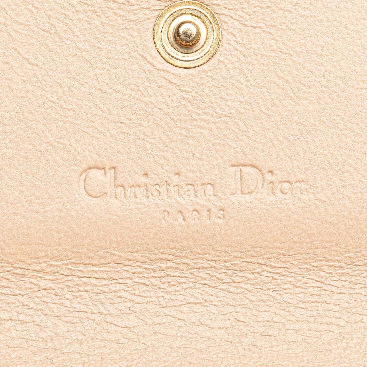 Dior Printed Canvas Buckle Strap Flap Wallet Roze