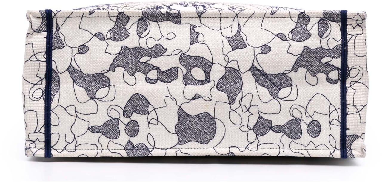 Dior Large Canvas Embroidered Around The World Book Tote Wit