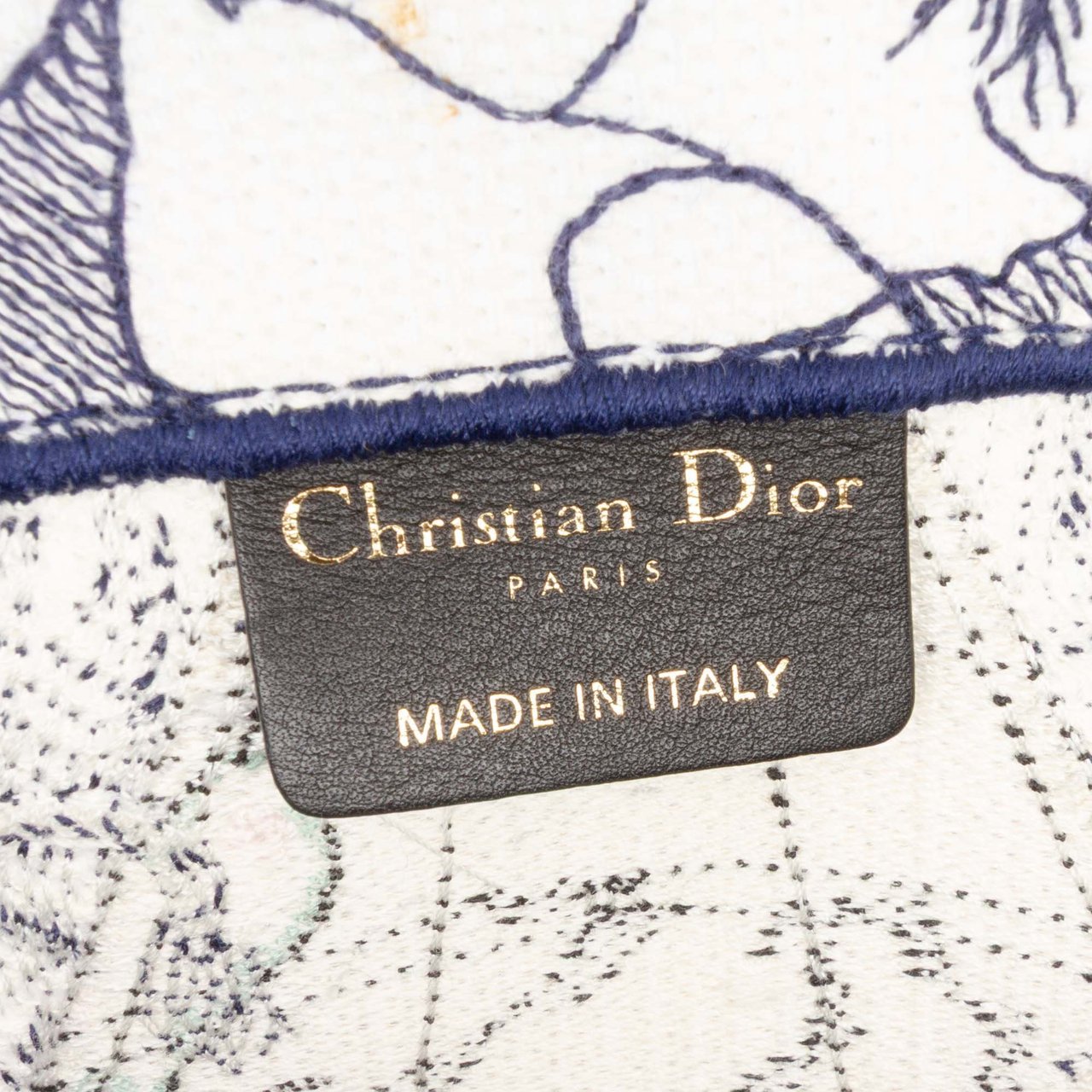 Dior Large Canvas Embroidered Around The World Book Tote Wit