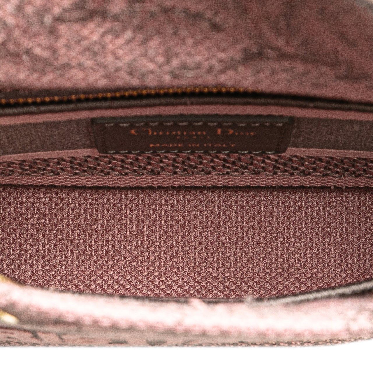 Dior Mini Embroidered Canvas Toile De Jouy Lady D Lite Roze