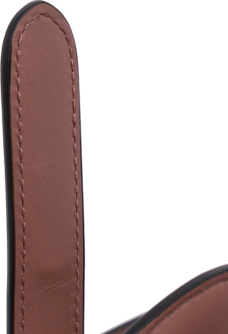 Dior Mini Leather Saddle Bag Roze