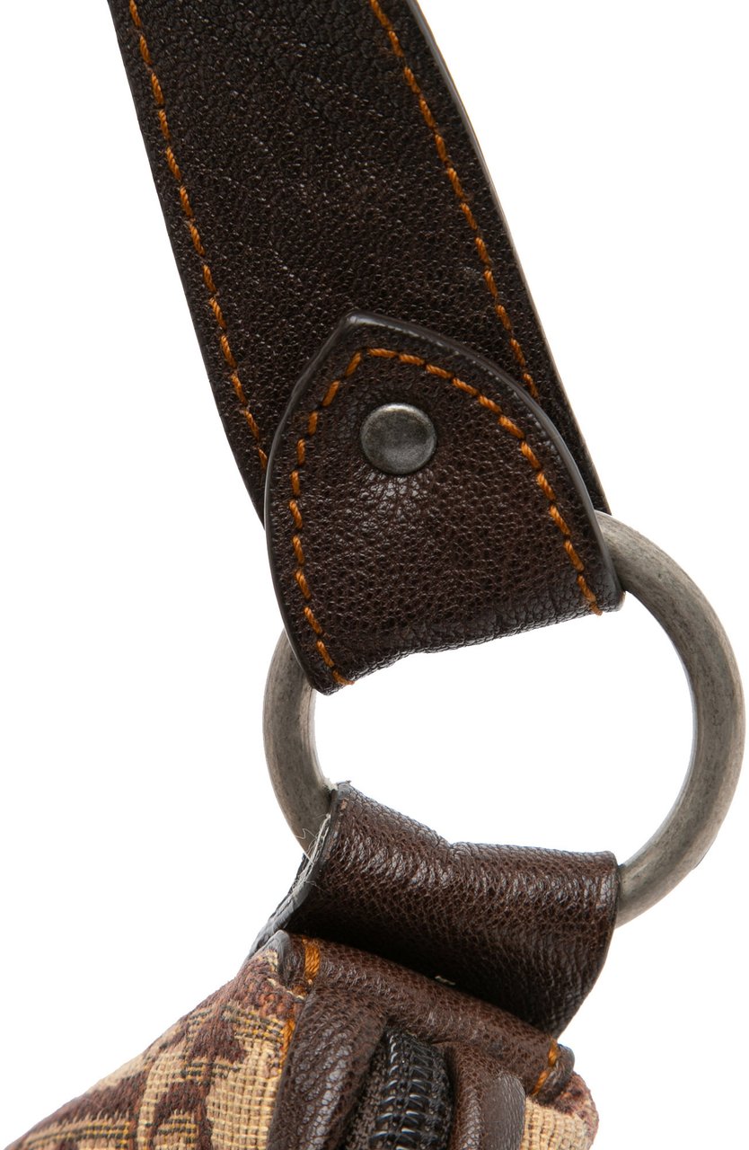 Dior Oblique Canvas Crossbody Bruin