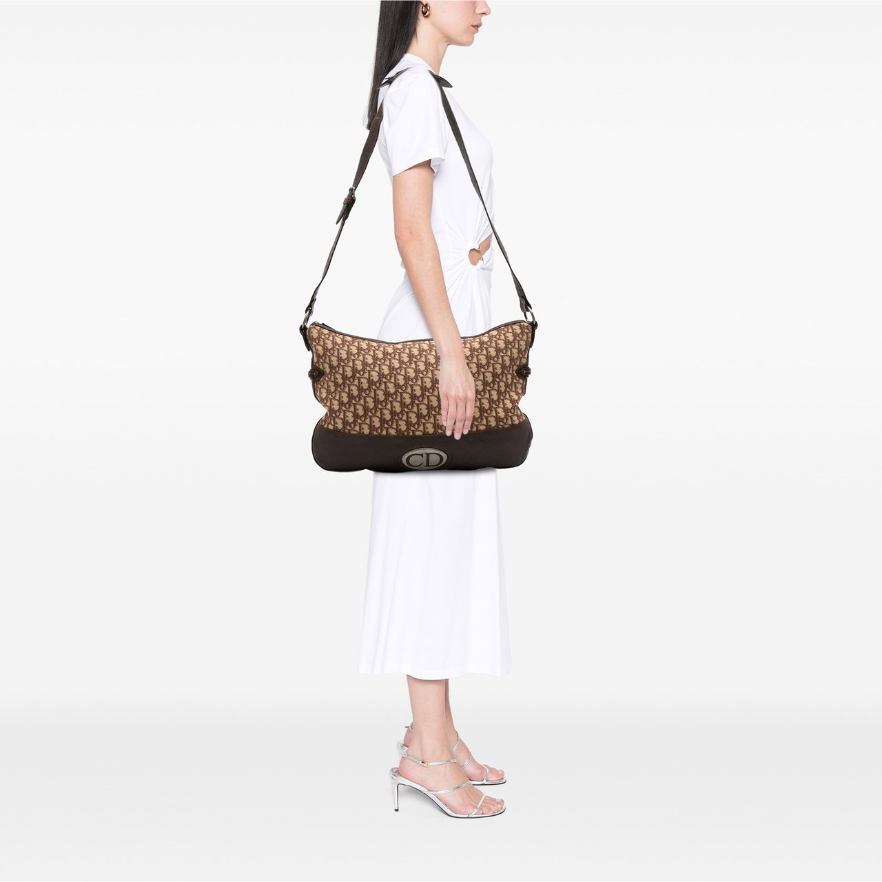 Dior Oblique Canvas Crossbody Bruin