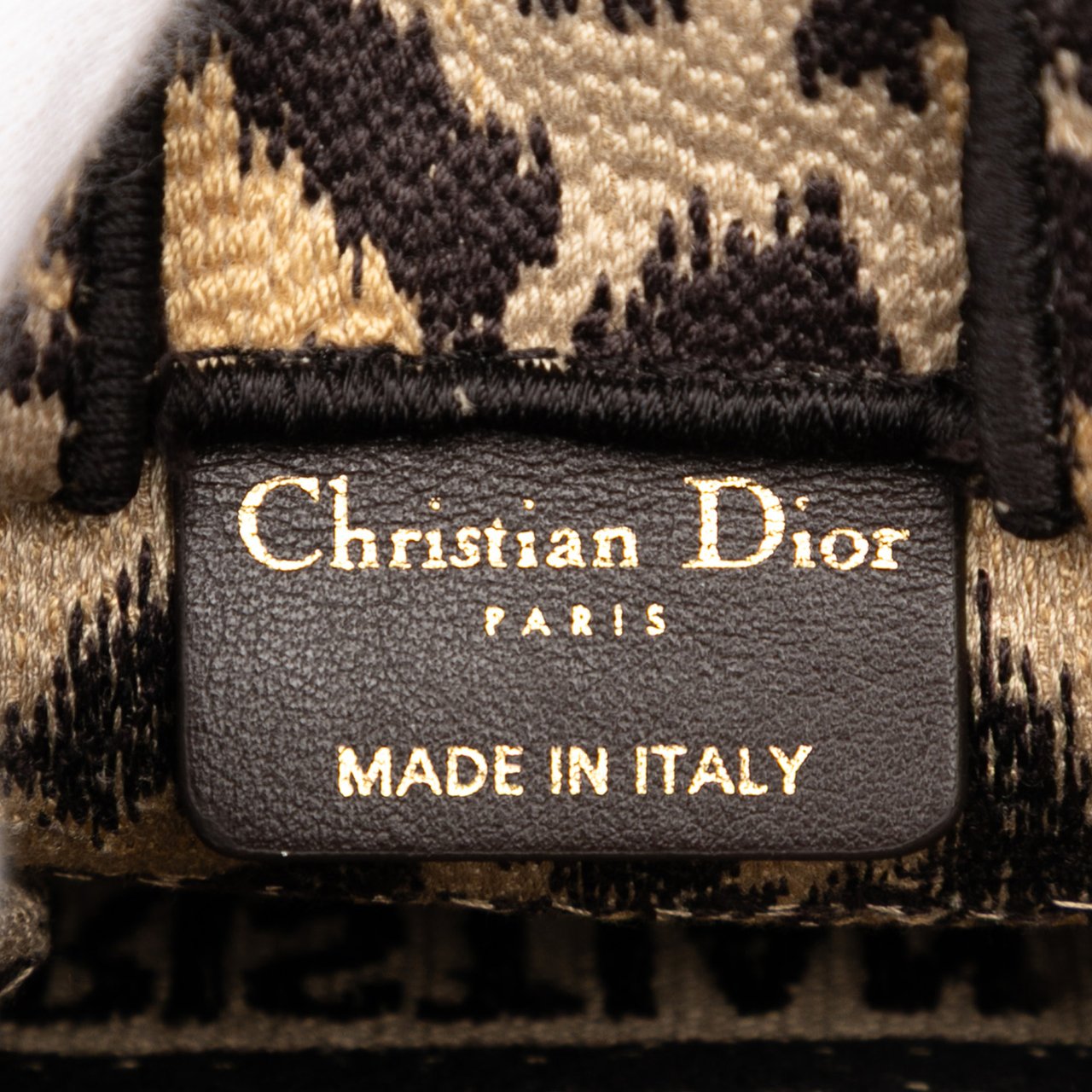 Dior Mizza Mini Embroidered Canvas Leopard Vertical Book Tote Bruin