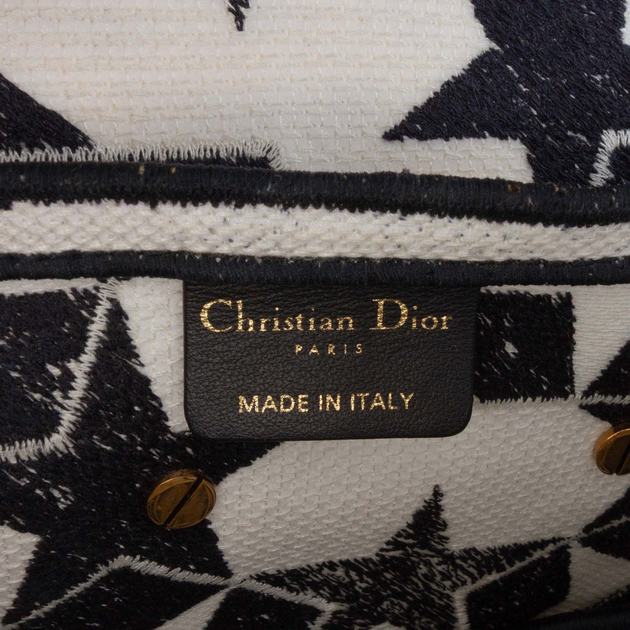 Dior Embroidered Canvas Stars Saddle Bag Wit