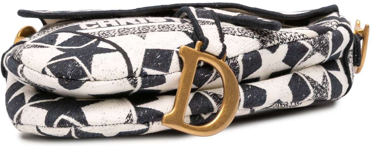 Dior Embroidered Canvas Stars Saddle Bag Wit