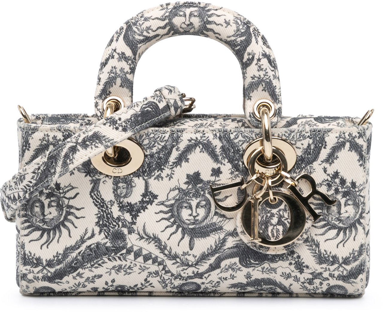 Dior Small Denim Toile de Jouy Soleil Lady D Joy Wit