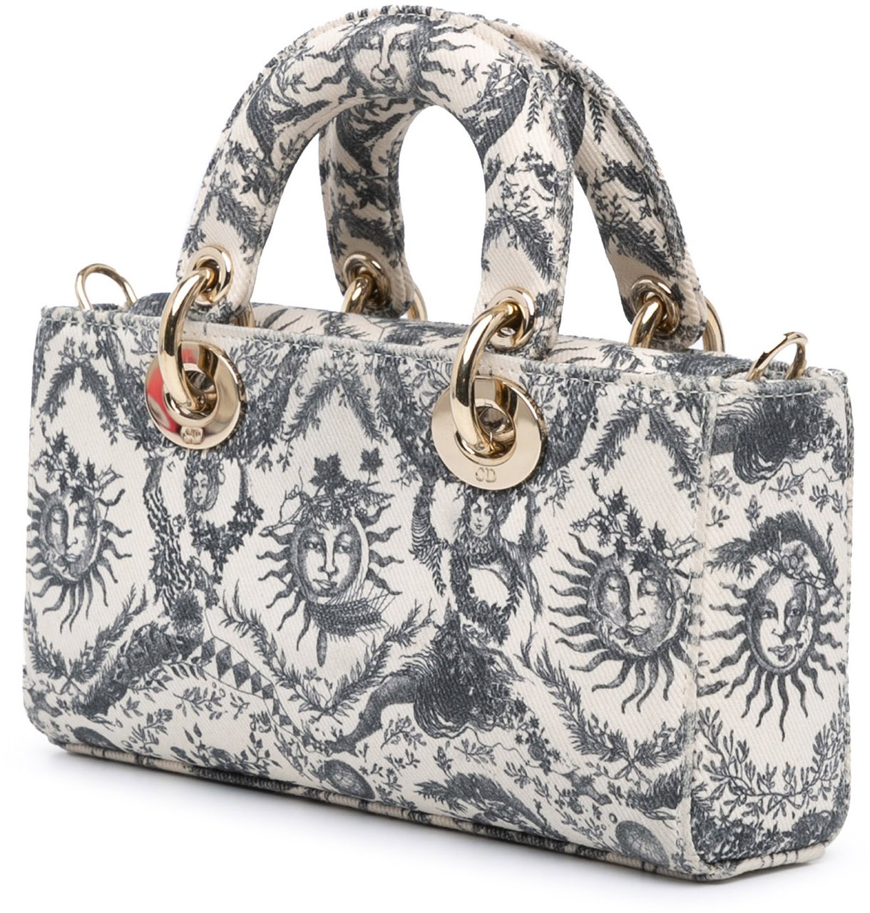 Dior Small Denim Toile de Jouy Soleil Lady D Joy Wit