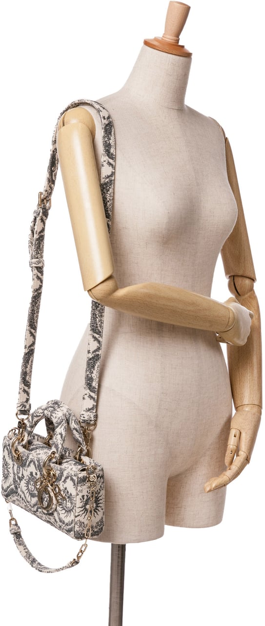 Dior Small Denim Toile de Jouy Soleil Lady D Joy Wit