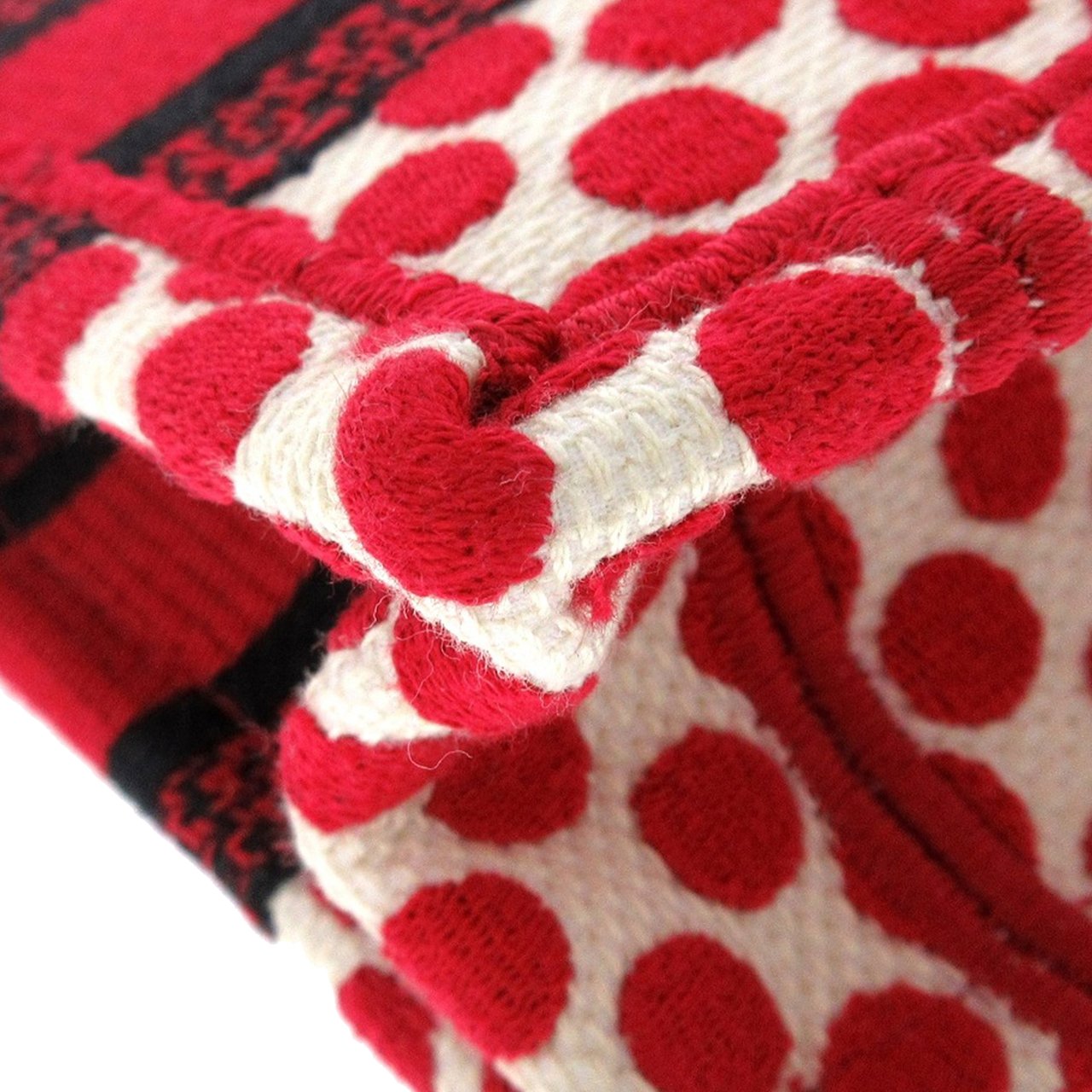 Dior Mini Dioramour Book Tote Rood