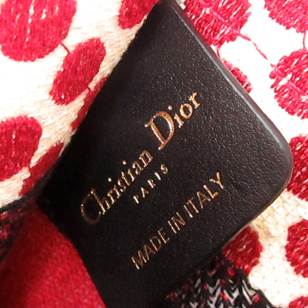 Dior DiorAmour Mini Embroidered Canvas Dots Book Tote Rood
