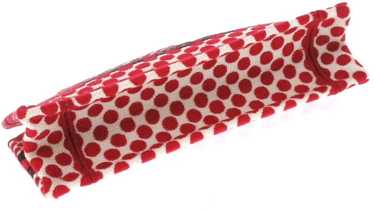 Dior DiorAmour Mini Embroidered Canvas Dots Book Tote Rood