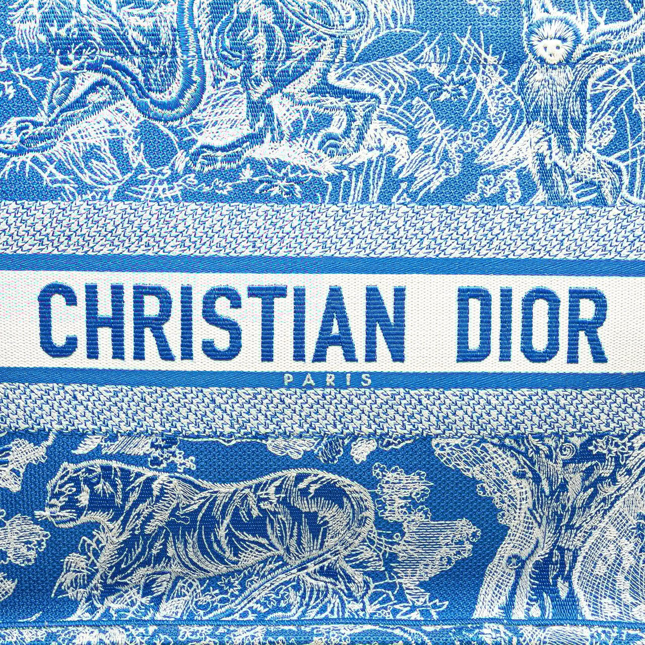 Dior Medium Canvas Embroidered Dioriviera Toile De Jouy Book Tote Blauw