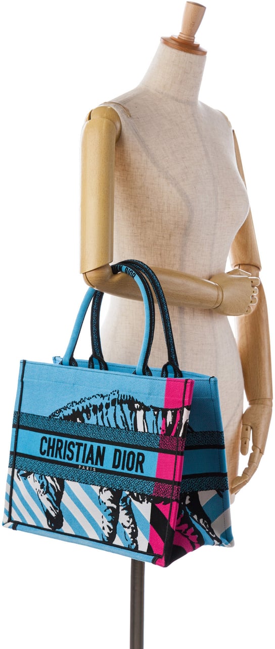 Dior Medium Embroidered Canvas Zebra D Jungle Pop Book Tote Blauw