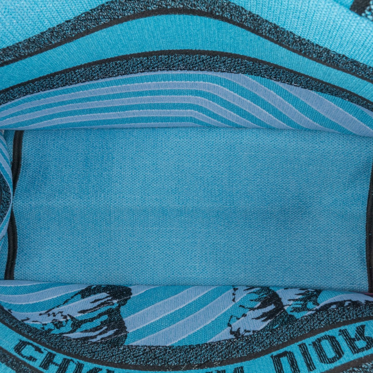 Dior Medium Embroidered Canvas Zebra D Jungle Pop Book Tote Blauw