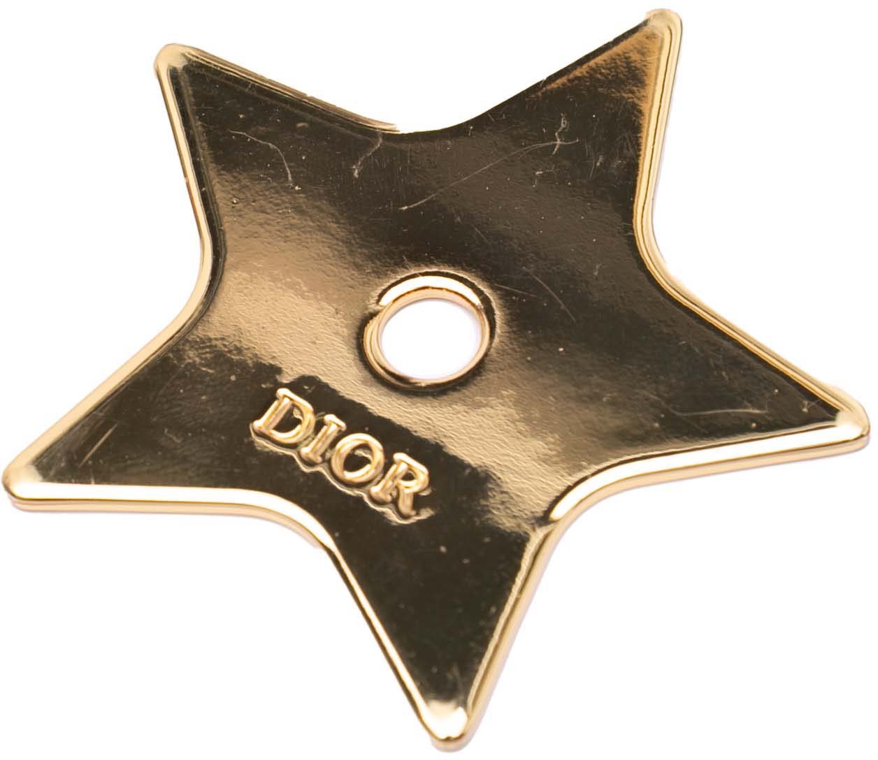 Dior Wang Guangle Medium PVC Technical Fabric Lady Dior Wit