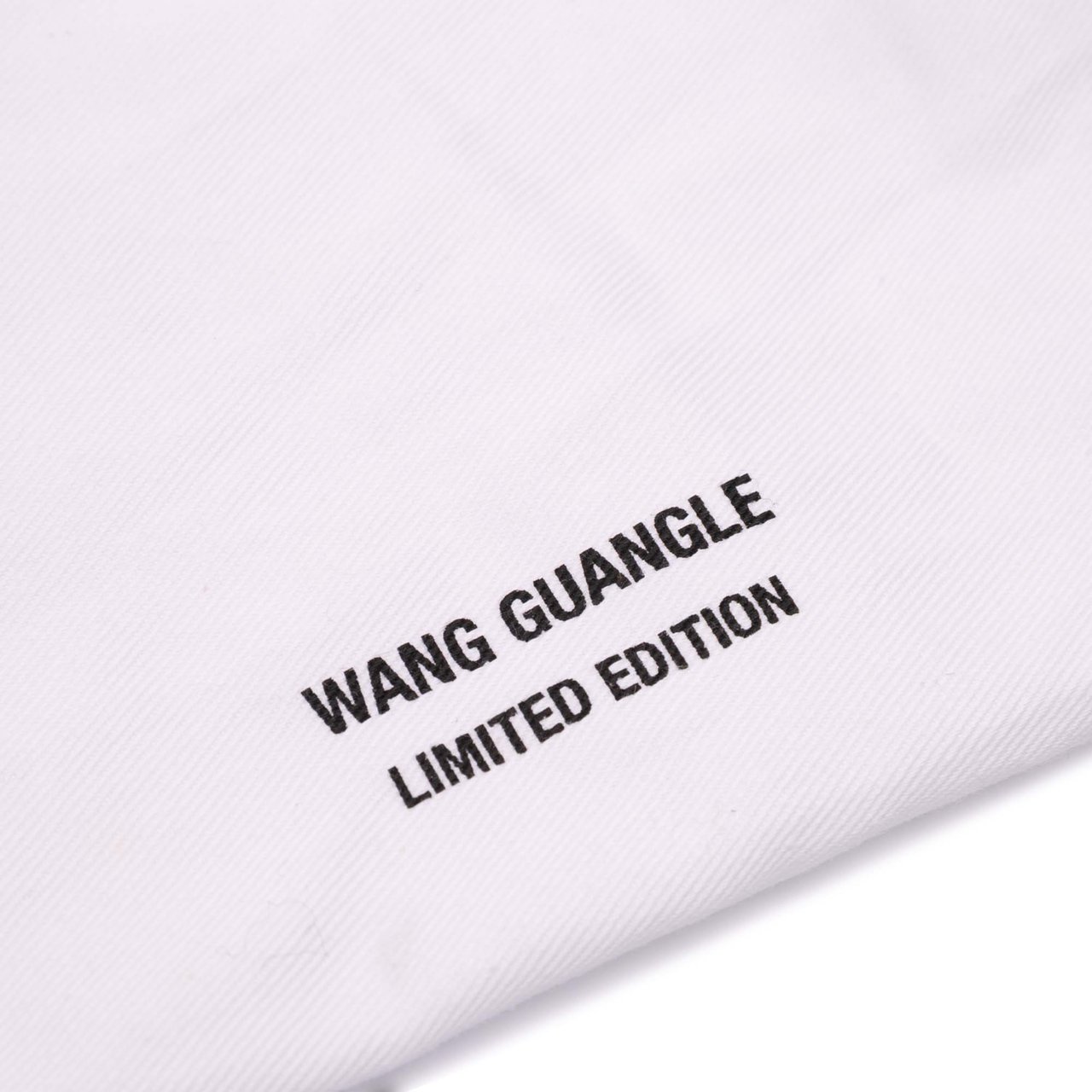 Dior Wang Guangle Medium PVC Technical Fabric Lady Dior Wit