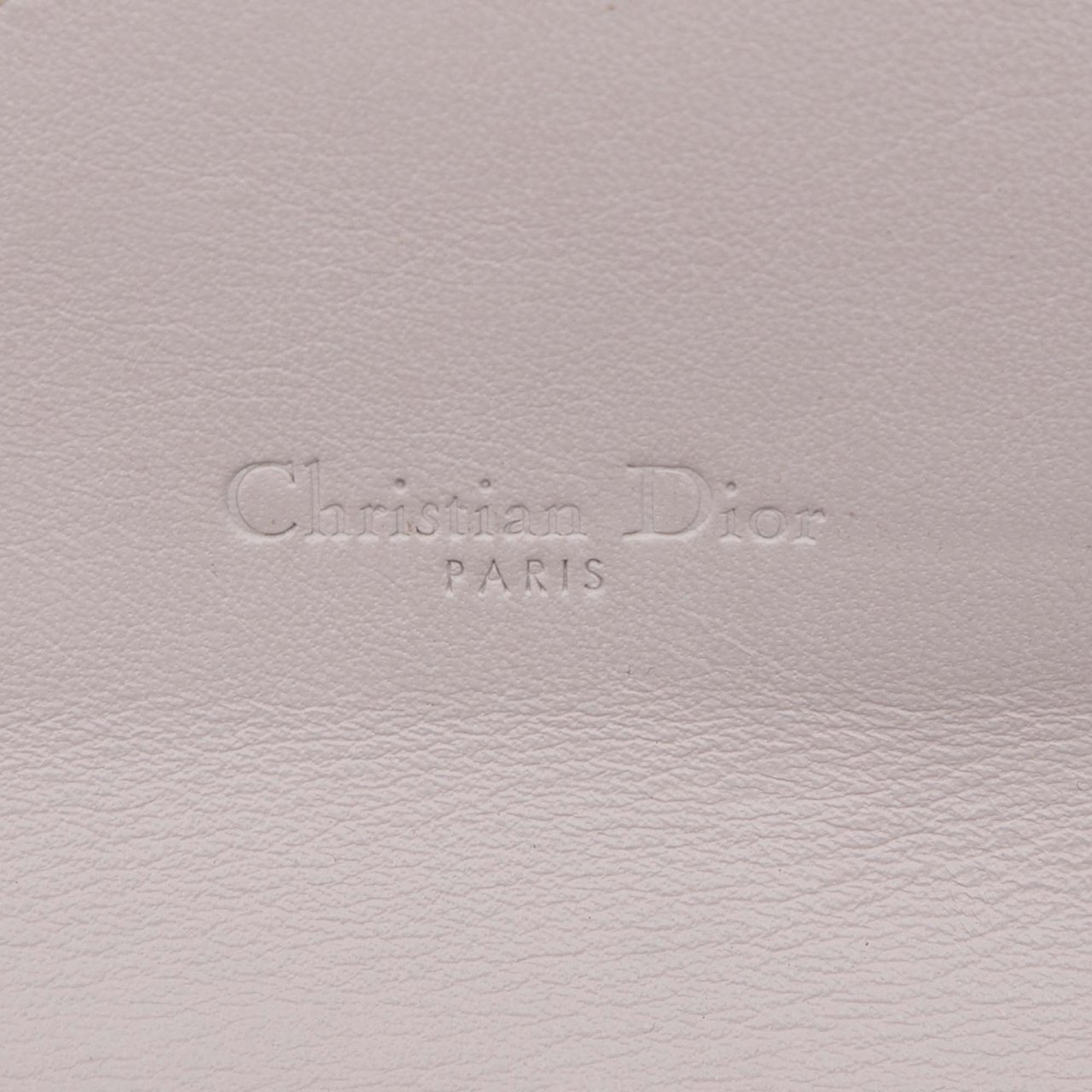 Dior Leather Explorer Crossbody Wit