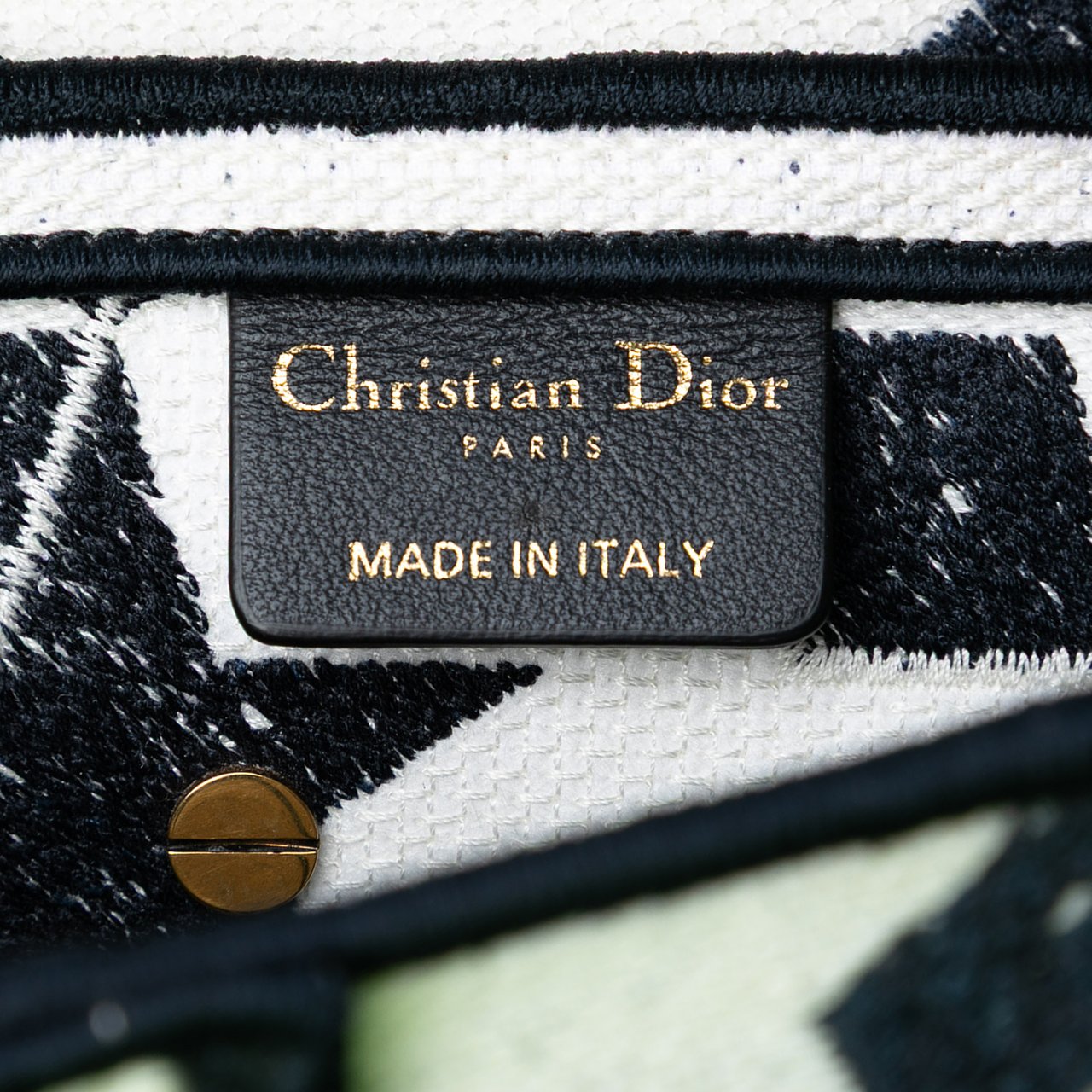 Dior Embroidered Canvas Stars Saddle Bag Wit