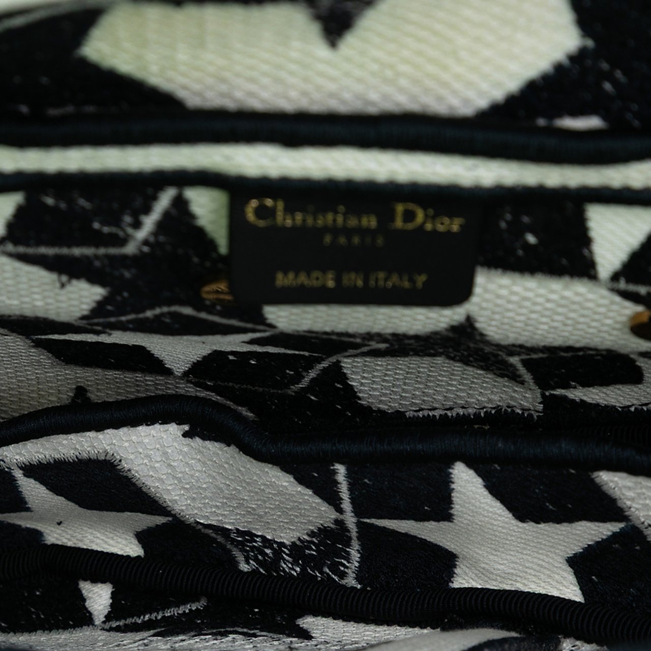 Dior Embroidered Canvas Stars Saddle Bag Wit