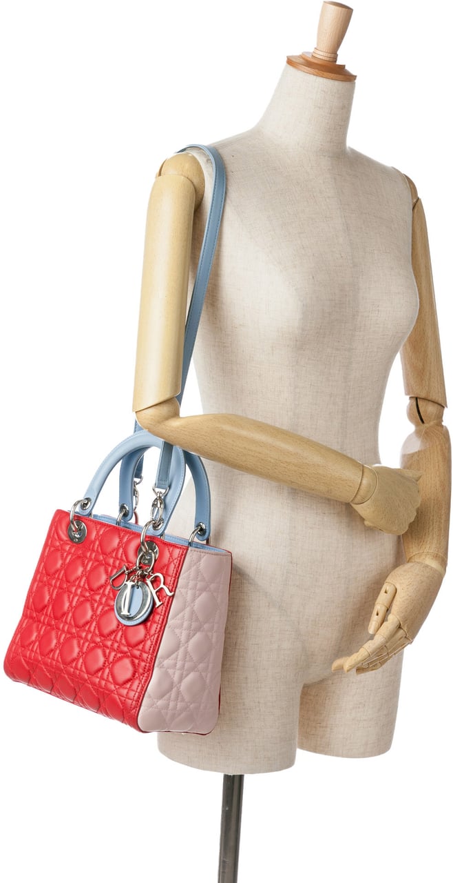 Dior Medium Tricolor Lambskin Cannage Lady Dior Rood