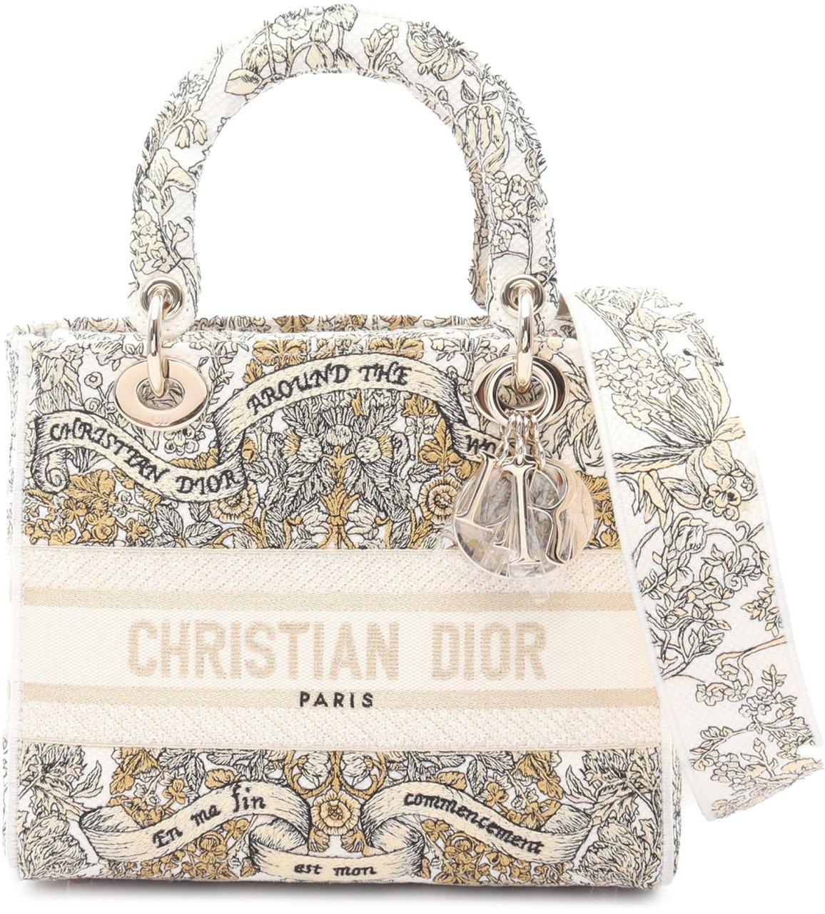Dior Medium Embroidered Canvas Around The World Stella Lady D Lite Wit