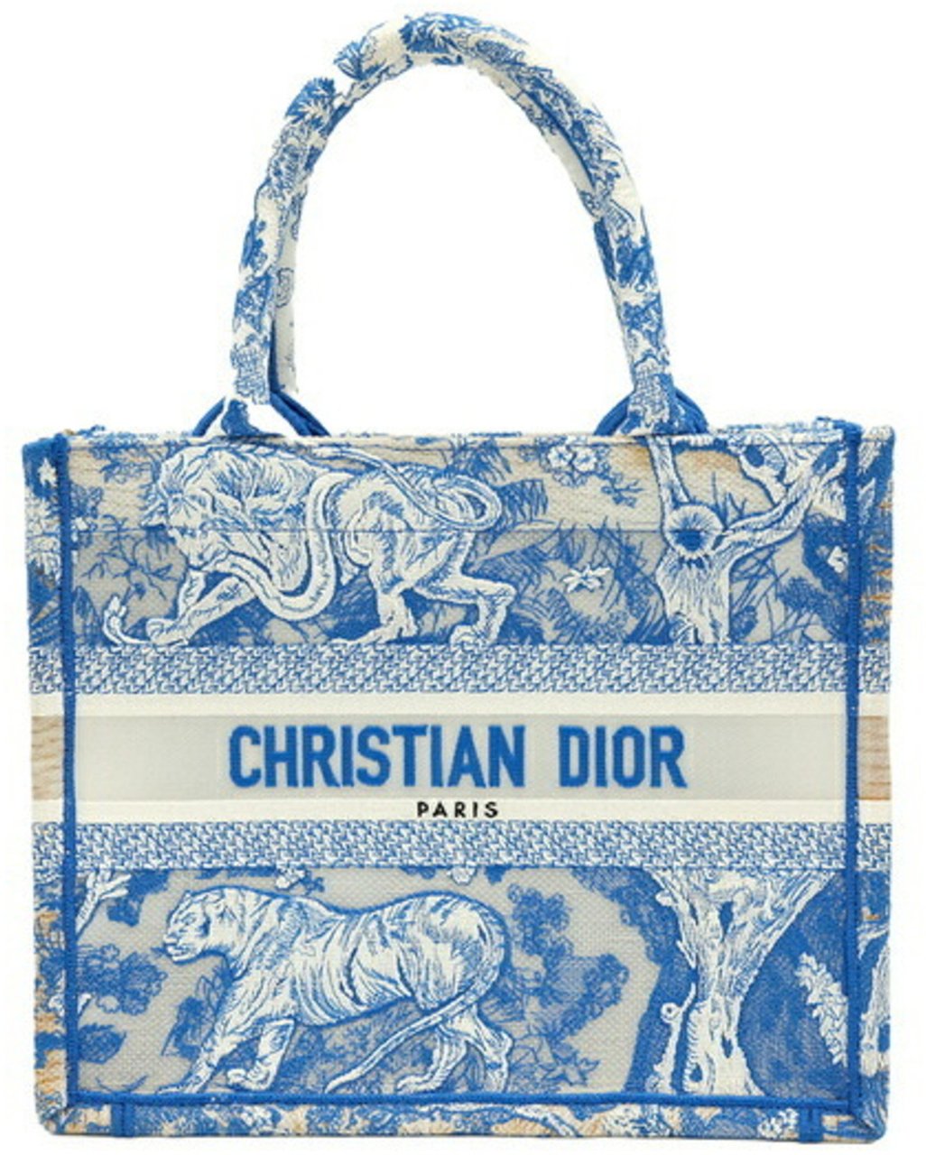 Dior Christian Dior Book Tote Embroidered Leather Small Blauw