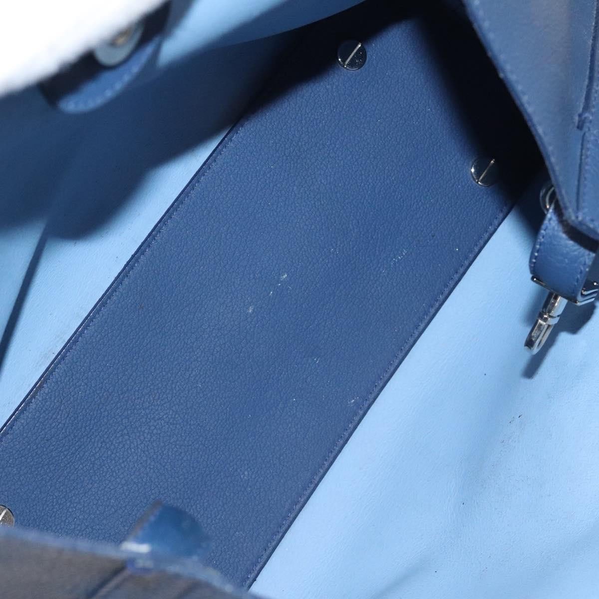 Dior Christian Dior Blossom Handbag Leather Medium Blauw