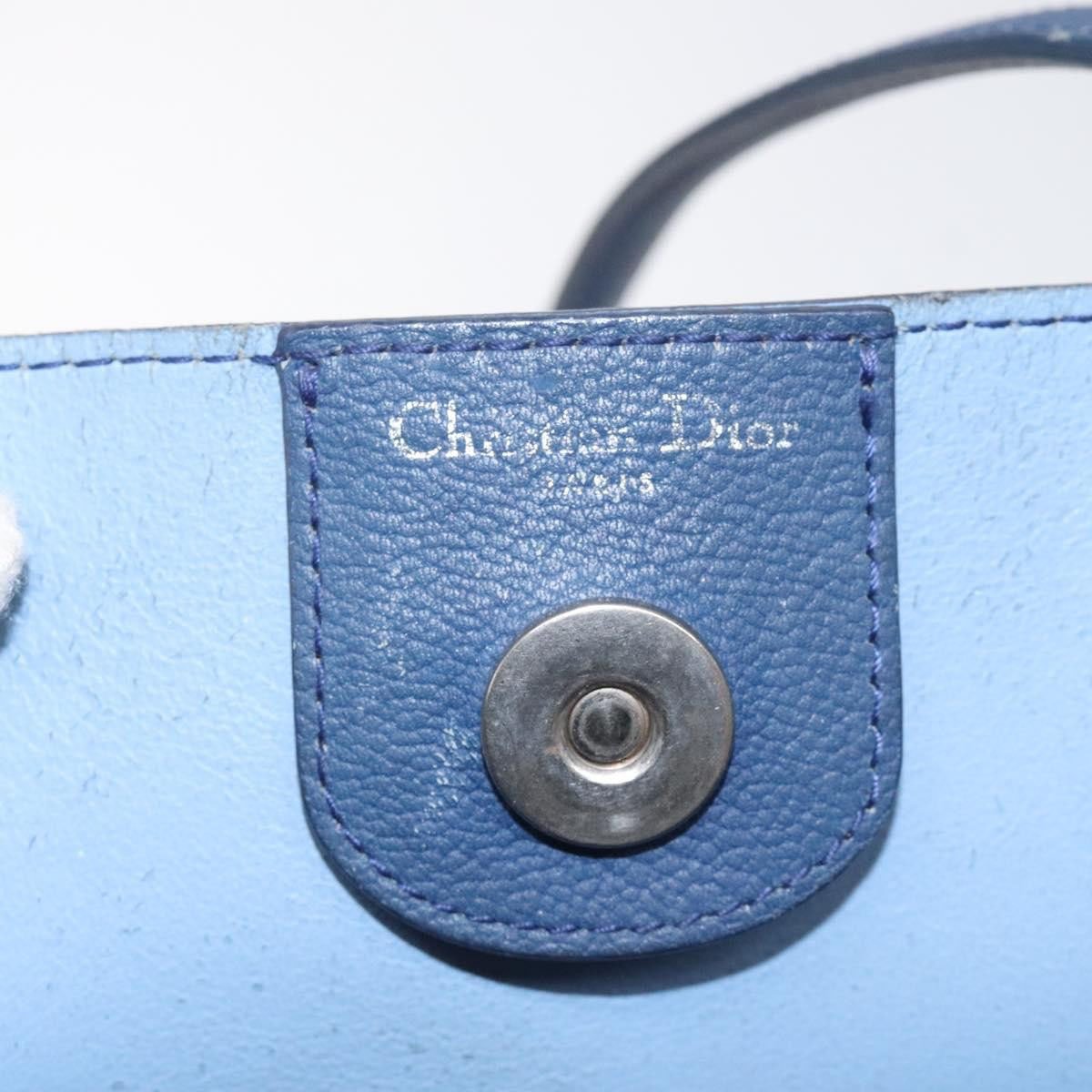 Dior Christian Dior Blossom Handbag Leather Medium Blauw