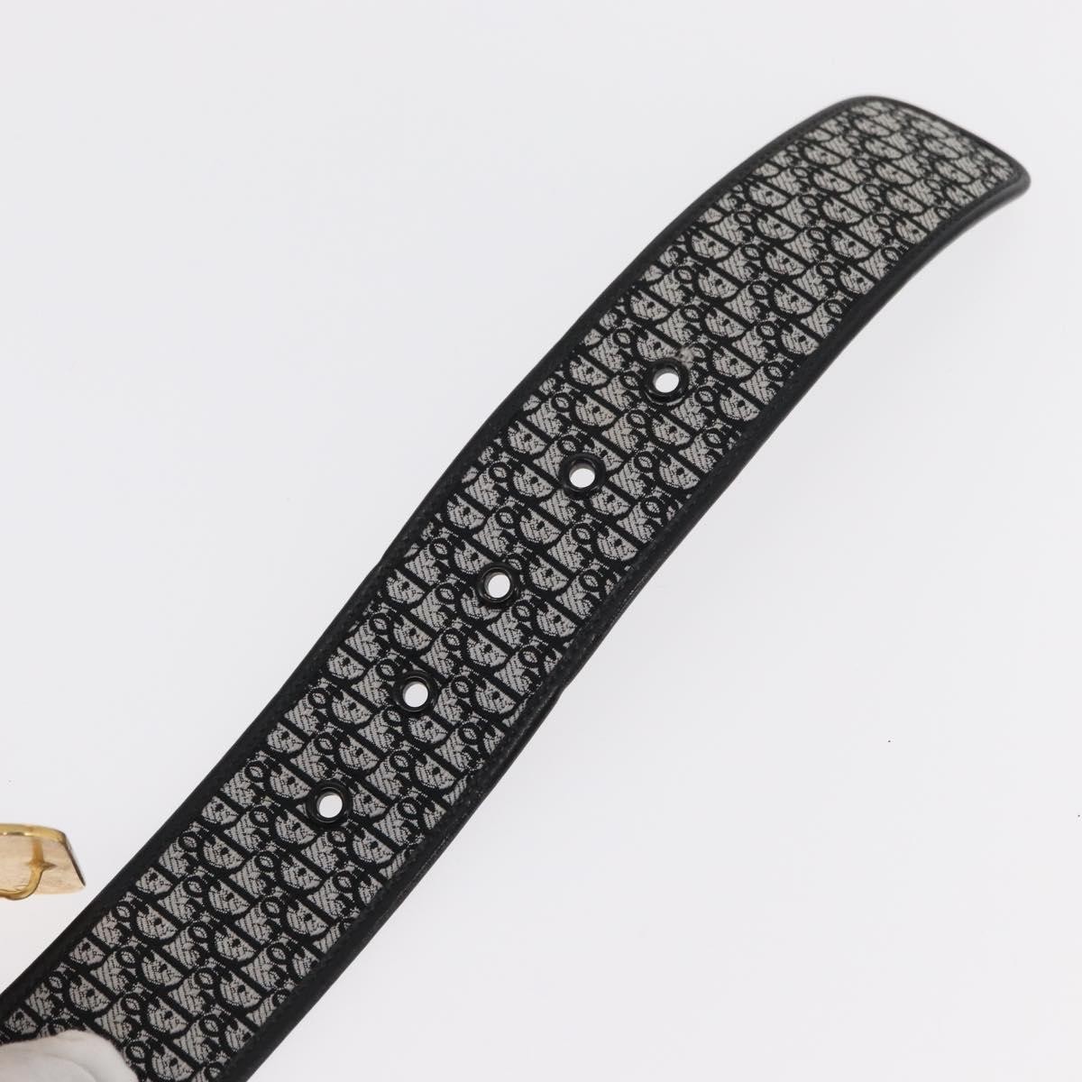 Dior Christian Dior Vintage belt Canvas Zwart