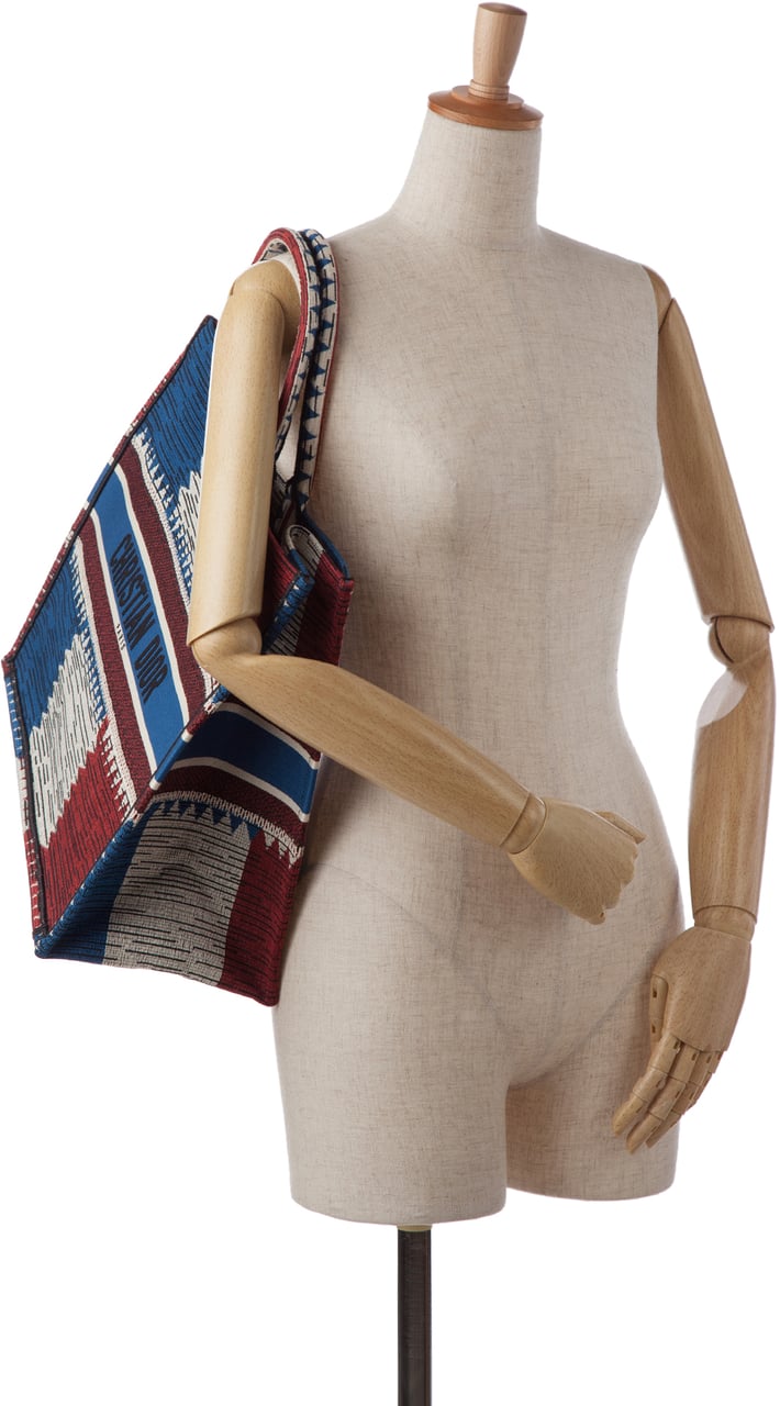 Dior Large French Flag Book Tote Blauw