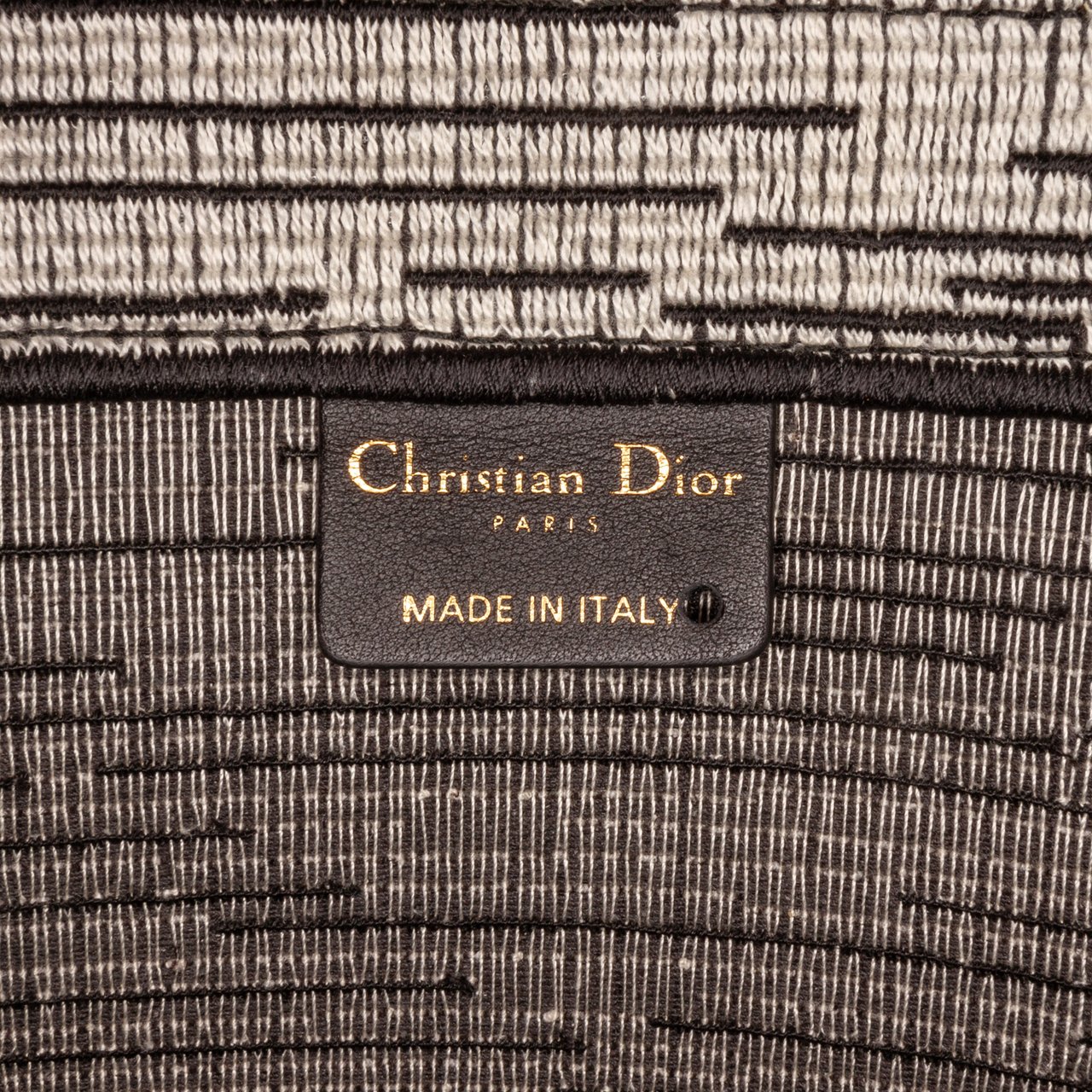 Dior Large French Flag Book Tote Blauw