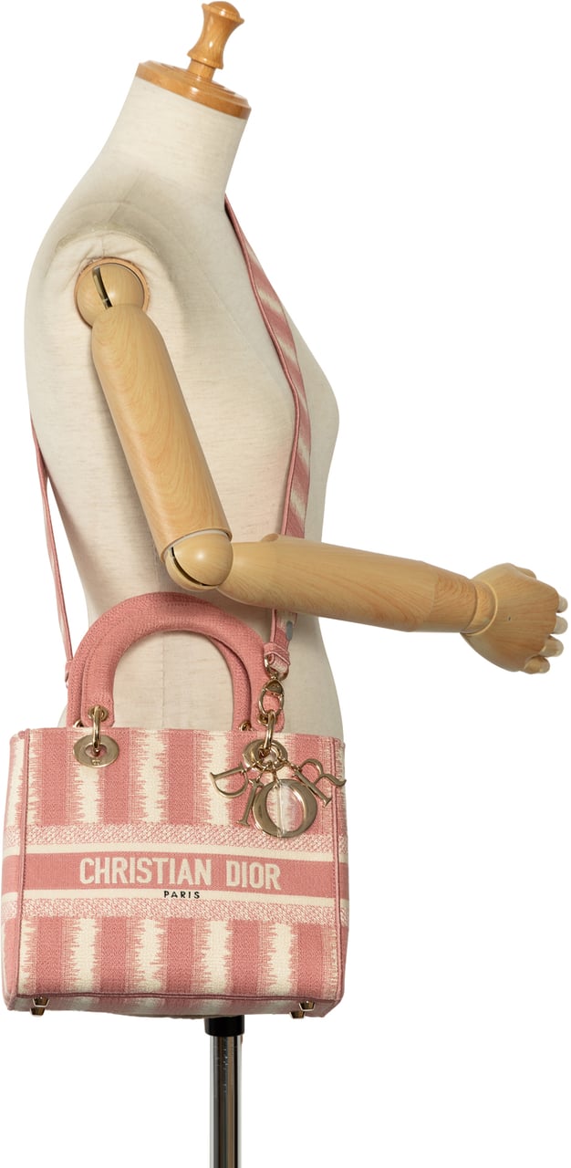 Dior Medium Embroidered Canvas D Stripes Lady D Lite Roze
