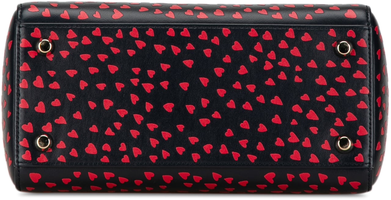 Dior Medium Calfskin I Love Paris Lady Dior Blauw