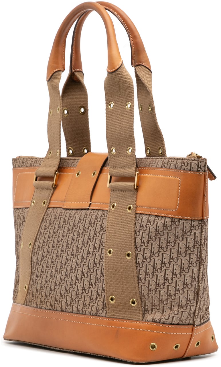 Dior Diorissimo Trotter Canvas Street Chic Columbus Tote Bruin