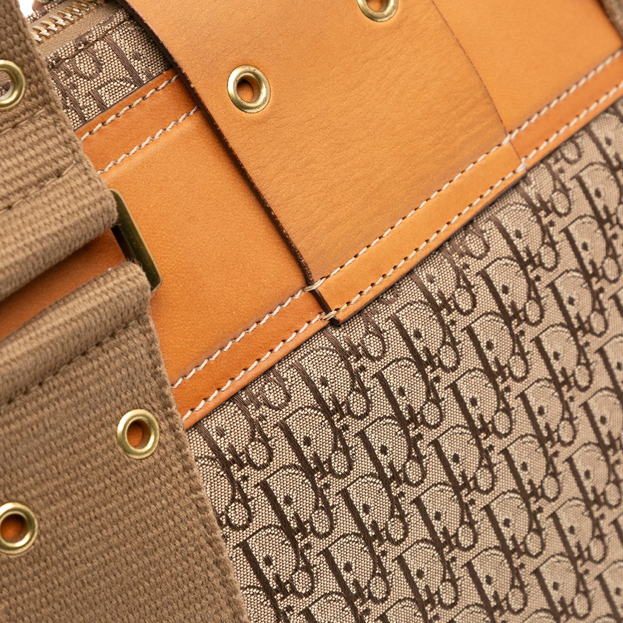 Dior Diorissimo Trotter Canvas Street Chic Columbus Tote Bruin