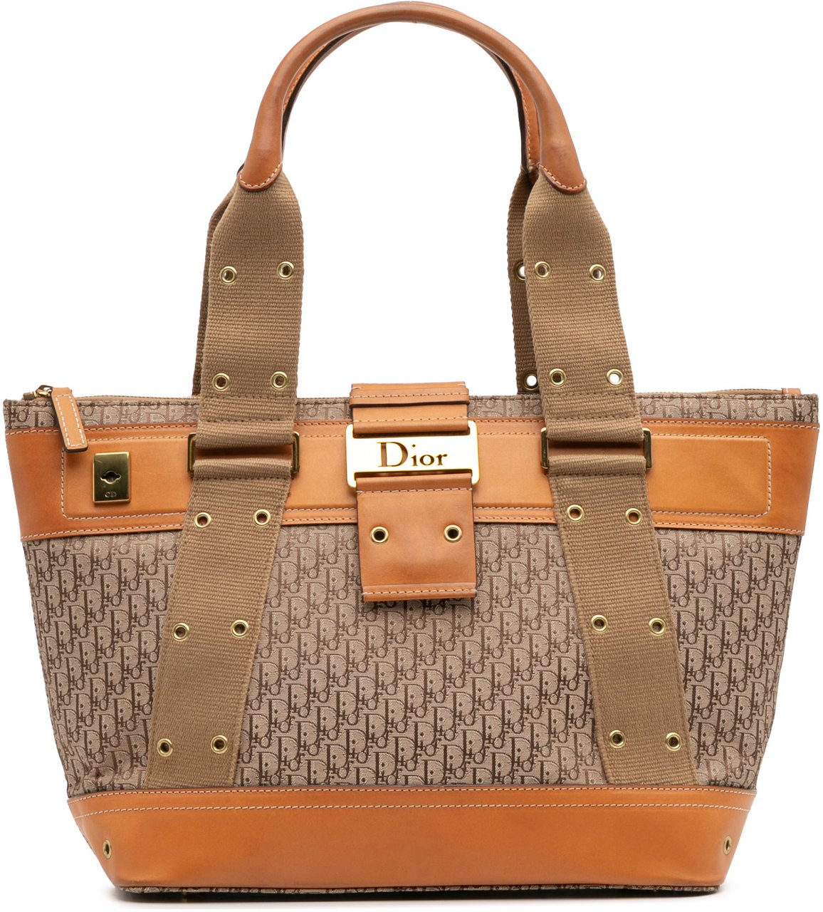 Dior Diorissimo Trotter Canvas Street Chic Columbus Tote Bruin