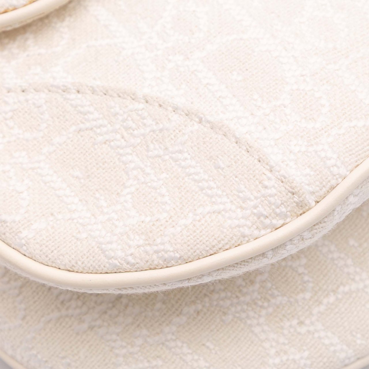 Dior Mini Oblique Canvas Saddle Bag Wit