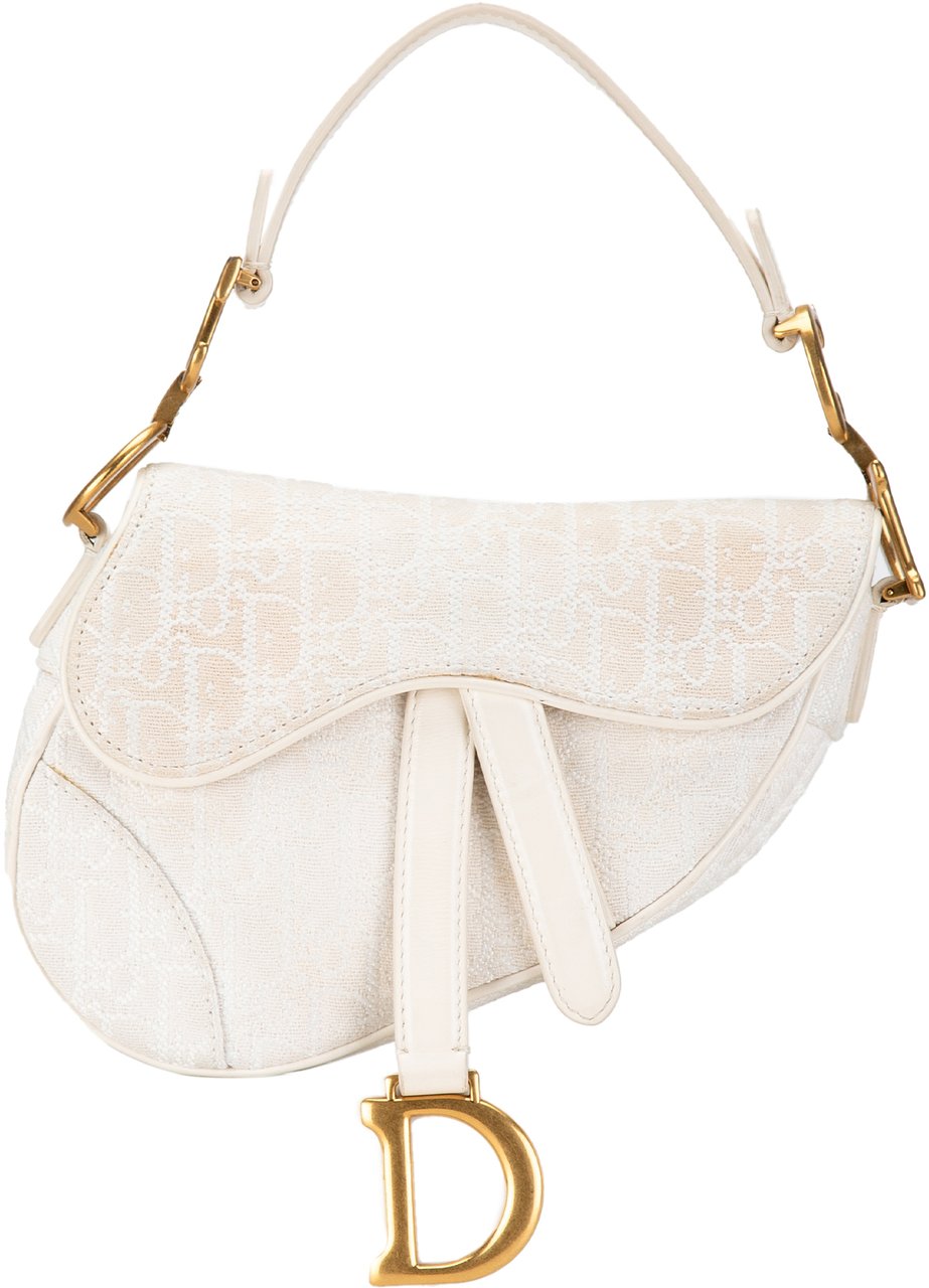 Dior Mini Oblique Canvas Saddle Bag Wit