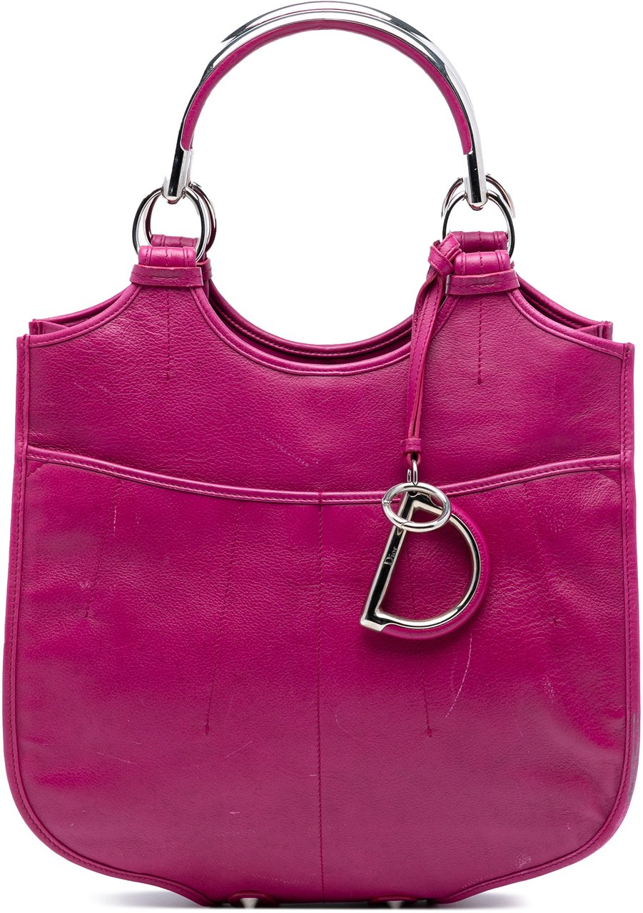 Dior Medium Leather 61 Hobo Roze