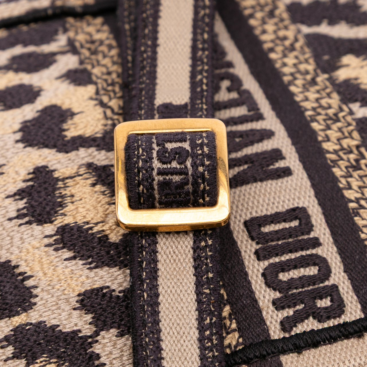 Dior Mizza Mini Embroidered Canvas Leopard Vertical Book Tote Bruin