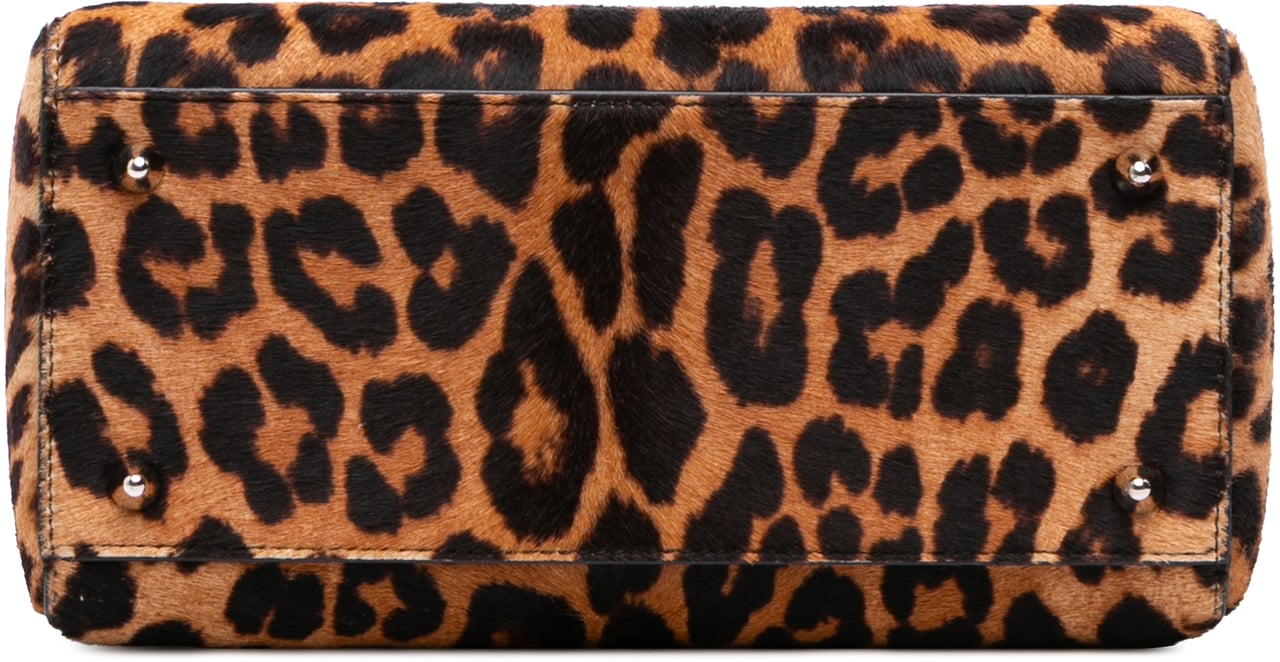 Dior Medium Pony Hair Leopard Print Lady Dior Bruin