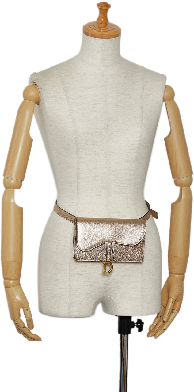 Dior Leather Saddle Belt Pouch Goud
