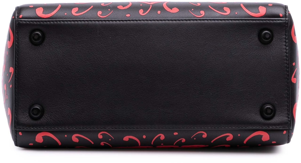 Dior Small Smooth Calfskin Painted Heart Clover Lady Dior Zwart